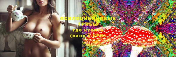 apvp Балахна