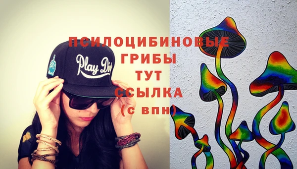 ПСИЛОЦИБИНОВЫЕ ГРИБЫ Балабаново