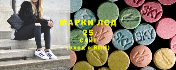гашик Сосновка