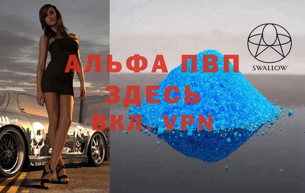 стаф Сосновый Бор