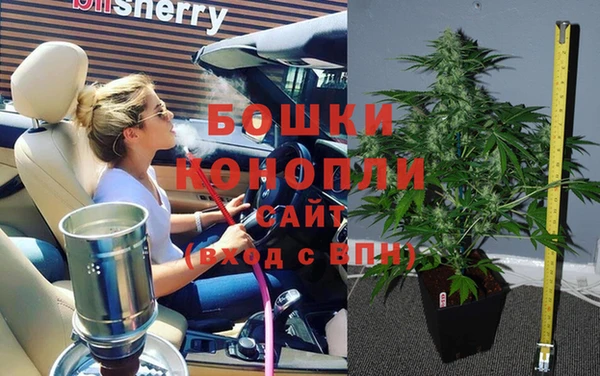 ПСИЛОЦИБИНОВЫЕ ГРИБЫ Балабаново