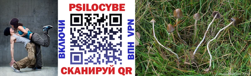 сколько стоит Буинск Псилоцибиновые грибы прущие грибы